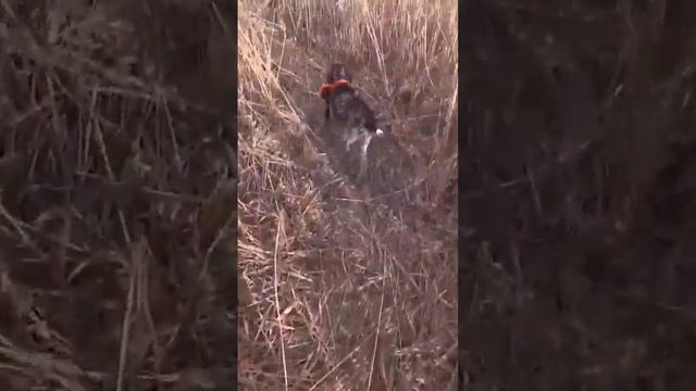 Деффик, незаменимый помощник смотреть онлайн