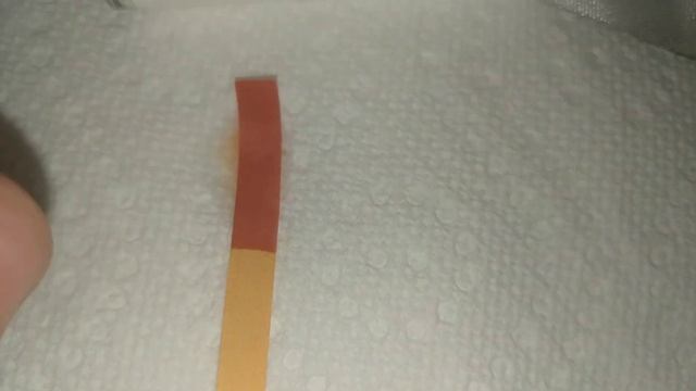 pH and Indicators Lab - Yannick van der Laan смотреть онлайн