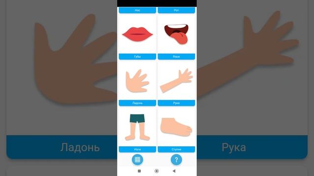 развивающая игра для детей угадай части тела #детям #игры #развитиеребёнка