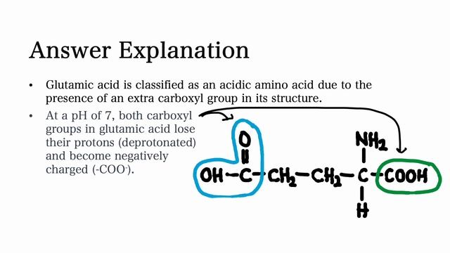 Glutamic Acid in Neutral pH 7 | TestYourSelf Answer Question 2 смотреть онлайн