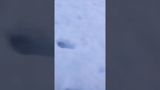 Гуляем на улице смотреть онлайн