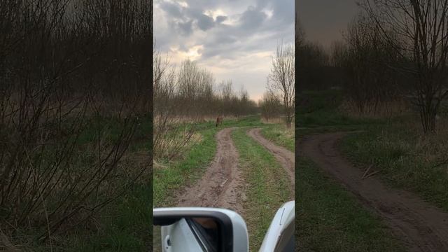Диалоги о природе))))) смотреть онлайн
