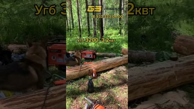 Бензиновый генератор Скат УГБ-3200 обеспечит энергией дачу, коттедж, небольшую торговую точку#скат смотреть онлайн