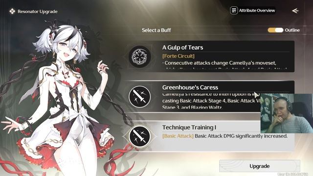 Depths Of Illusive Realm IV Camellya 70lvl Wuthering Waves