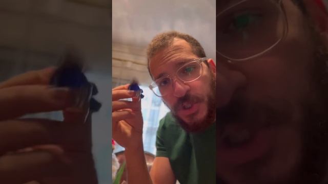 Mouth, Mastication & Mastery #terminology #oralhealth #takeabite