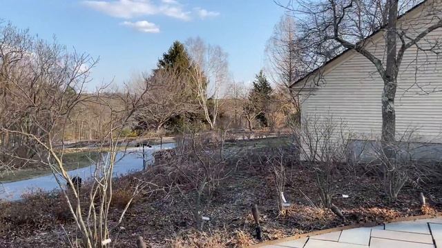 First Flowers and Bird Songs in Tower Hill Botanic Garden (18 March 2022) смотреть онлайн