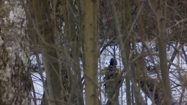 Пси-Хи Естественный отбор 2 30 03 2019 смотреть онлайн