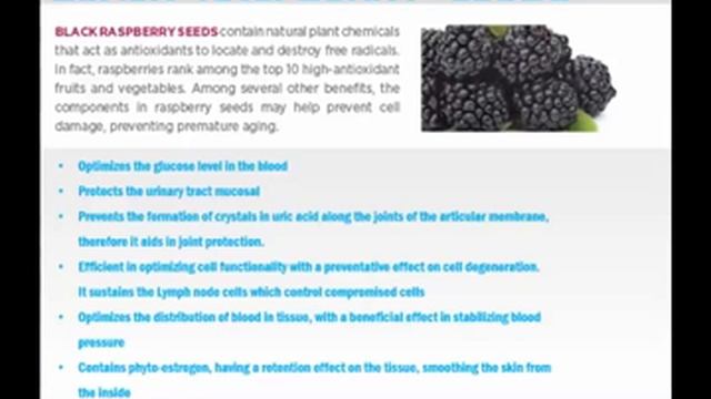 Rain SOUL Rain Core Product Ingredients Breakdown Rain International смотреть онлайн