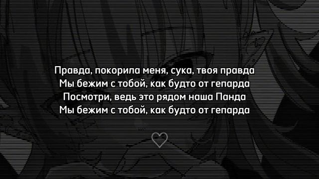 CYGO–PANDA E|текст песни смотреть онлайн