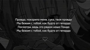CYGO–PANDA E|текст песни
