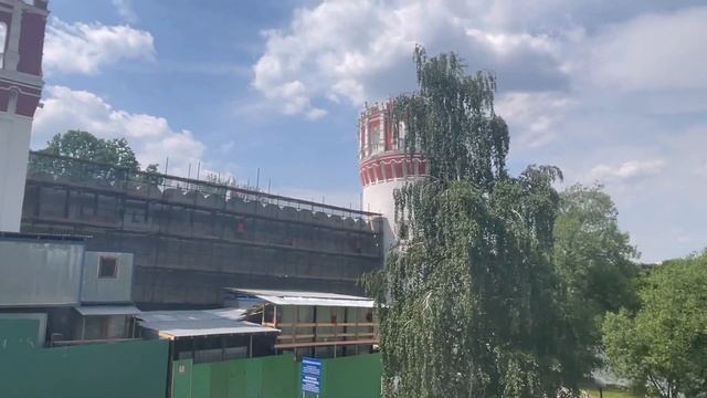 Подаю претензию в ветклинику/ Рассказываю что сейчас с кошкой💔