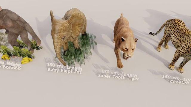 Animal Size Comparison | New🐫🐘🐳🐊🦝🦖| Version 2.0 смотреть онлайн