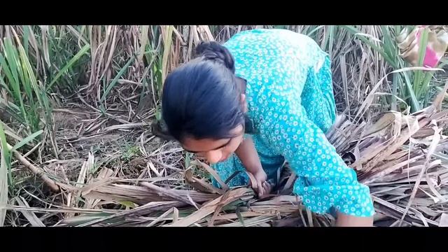 Lov You Suhana 🥰😘 New Vlog смотреть онлайн