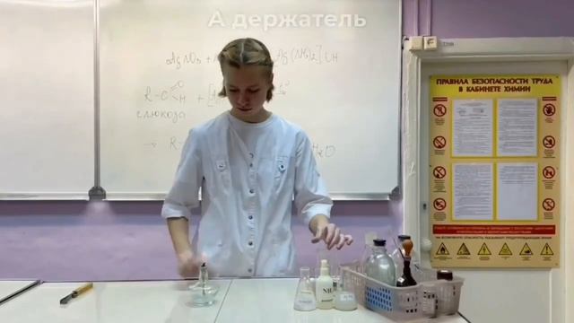 ПРОЕКТ НА СМЕНУ В СИРИУС | ФЕВРАЛЬ |2024