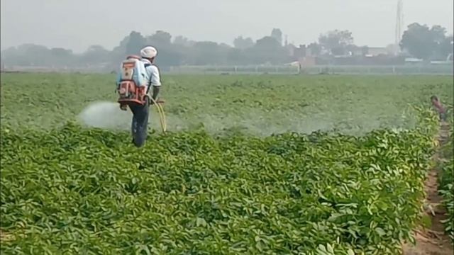 real life of India village UP Uttar Pradesh real life India machine se dawai Kaise Mari Jaati Hai смотреть онлайн
