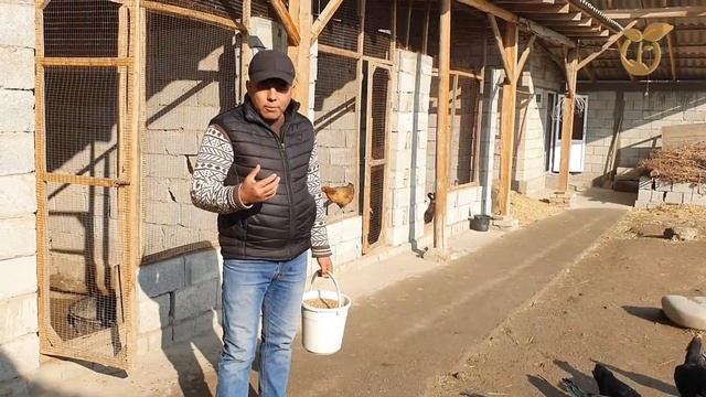 МАКСАД САРИ ХОНОДОНИДАН ЭКСКЛЮЗИВ ВИДЕО...(ОХУНОВ ТВ) смотреть онлайн