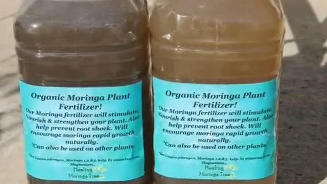 Moringa Fertilizer Organic