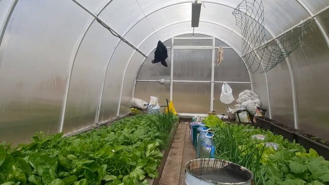 Стоит ли обогревать теплицу? На сколько это дорого