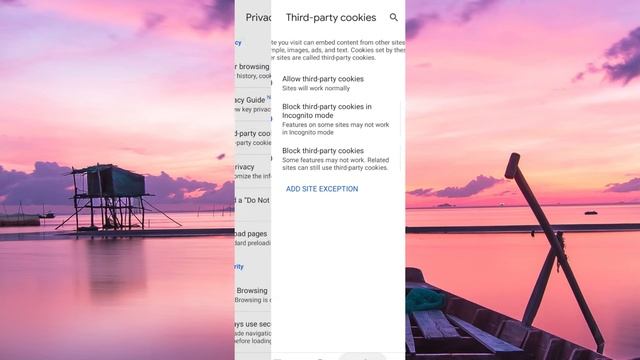 How to FIX Chrome Opening Unwanted Spam Pages Automatically in Android (2024) - Easy Fix смотреть онлайн