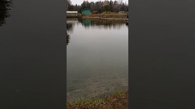 поимка смотреть онлайн
