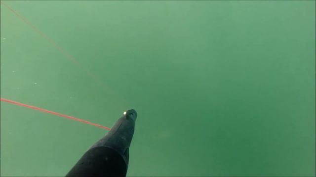 Spearfishing Red Snapper. Подводная охота Гоа часть 4.