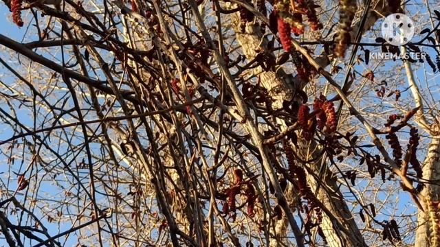 Кристина Мотиватор.Нахваливает себя с закрытыми комментами.