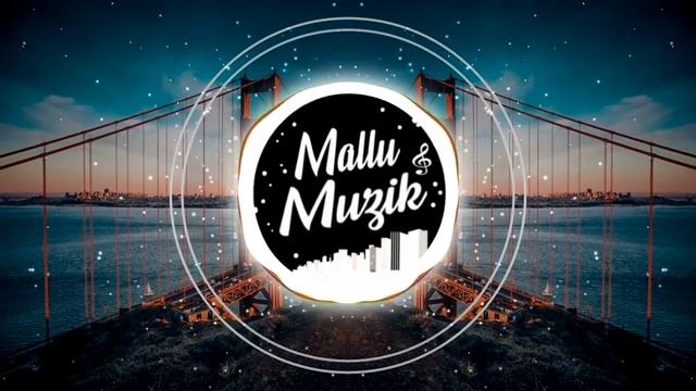 Stereo Hearts X Zaalima (Hindi X English Mashup) | DJ Sid | Mallu Muzik Official
