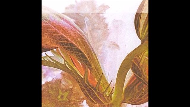 43. Infinity Frequencies - botanik dreams #20 [11.08.2016] смотреть онлайн