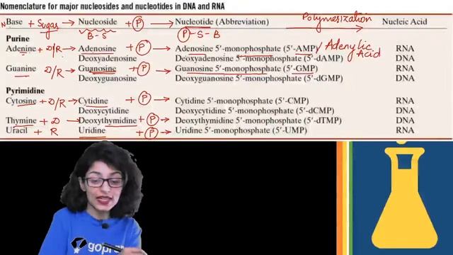 Biomolecules | Class 11 Zoology | Nucleic Acids | NEET 2022 | Tina Ma'am | Goprep смотреть онлайн