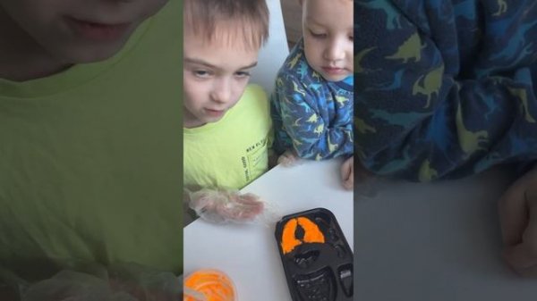 Набор «Строение тела» (органы)