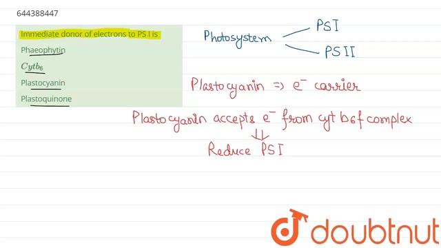 Immediate donor of electrons to PS I is | 12 | TEST 7 | BIOLOGY | AAKASH INSTITUTE ENGLISH | Dou... смотреть онлайн
