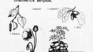 Опыление растений