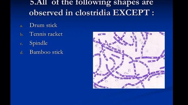 Mcqs Clostridium