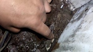 ЗАМЕНА ДНА НА ПРИОРЕ. РЕМОНТ ВНУТРЕННЕГО ПОРОГА. ТАКОЕ ВЫ НЕ ВИДЕЛИ