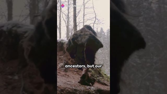 Everlotion of human смотреть онлайн