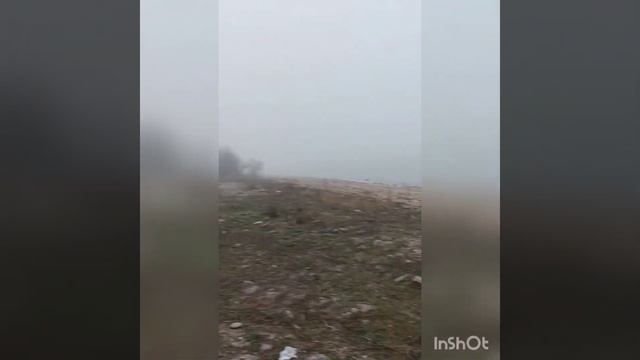 "Гулять!"- главное собачье слово) смотреть онлайн