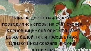 Коты-воители факты о Кленовнице.