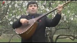 фаризат зейналова къемер чан 2006