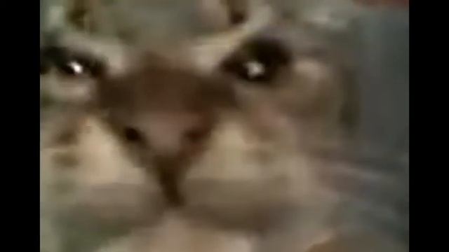 Кит ты маму мав?:3 смотреть онлайн