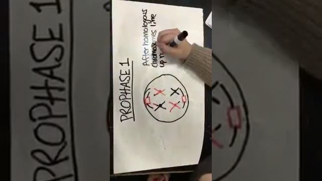 prophase 1 смотреть онлайн