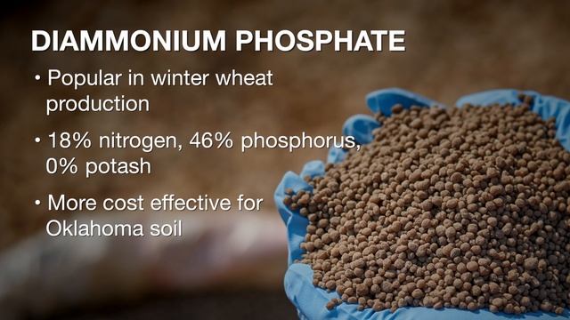 Types of phosphorus fertilizer (3/2/18) смотреть онлайн
