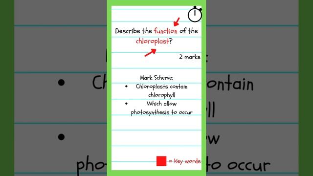 EXAM QUESTION - Chloroplast GCSE Biology (9-1) смотреть онлайн