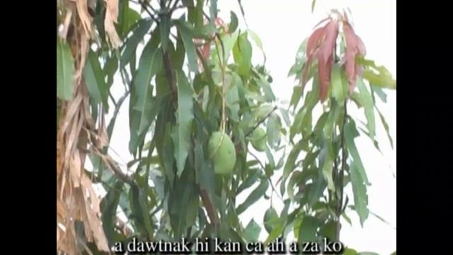 12. Kan Caah A Za Ko смотреть онлайн