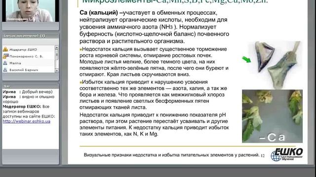 Визуальные признаки недостатка и избытка питательных элементов у растений... смотреть онлайн