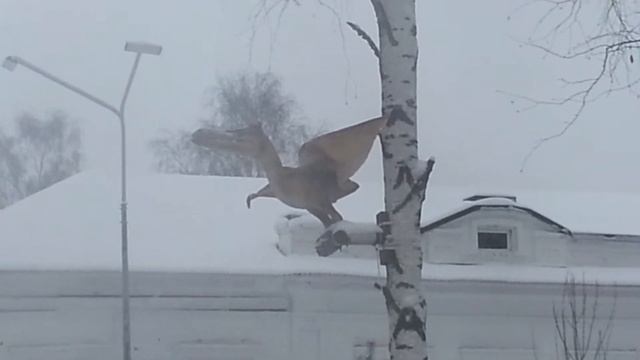 Птеранодон в Кирове Юркин парк_18 смотреть онлайн
