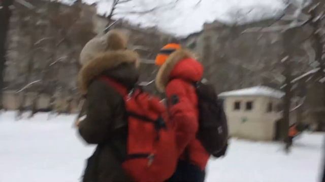 Вичислаф и его хромосомы смотреть онлайн