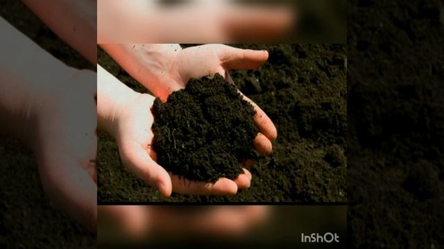 Importancia del pH en la vida cotidiana смотреть онлайн