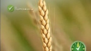 Реклама Kosmostars 2009 с Юлией Костюшкиной