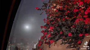 цыганская песня✌😂