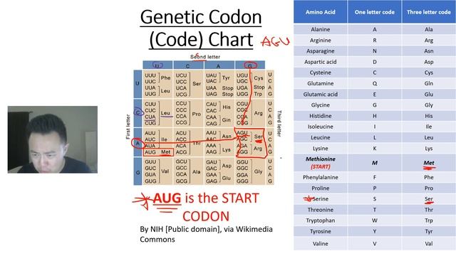 Solving Transcription, Translation, Replication Problem Walk-through (Thorough)